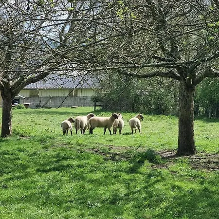 De La Piegerie Courgenard