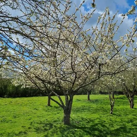 De La Piegerie Courgenard