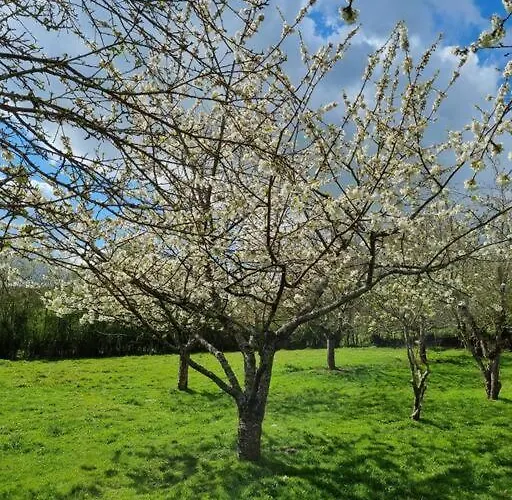 De La Piegerie Courgenard
